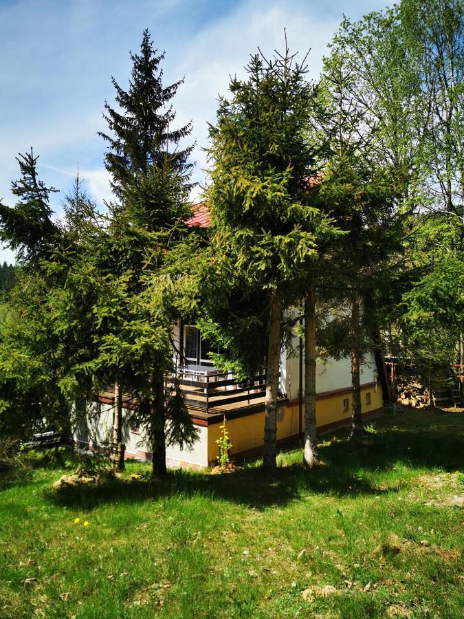 Wojtowka 16 Villa Lądek-Zdrój Exterior foto